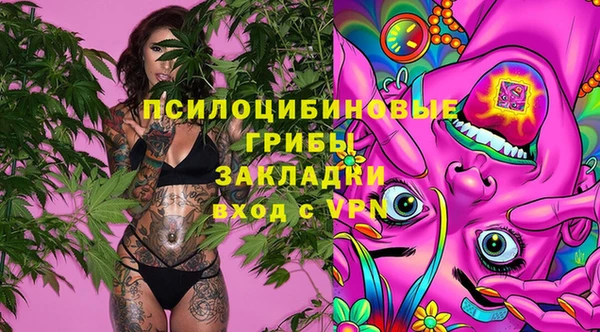 прущая мука Надым
