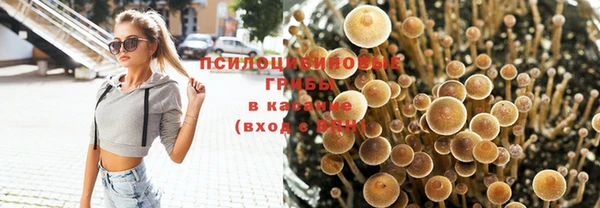 амфетамин Гатчина