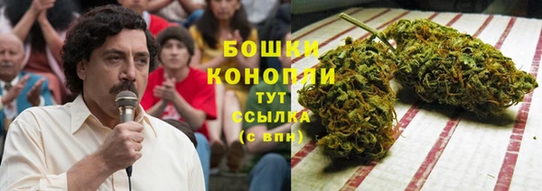 дживик Всеволожск