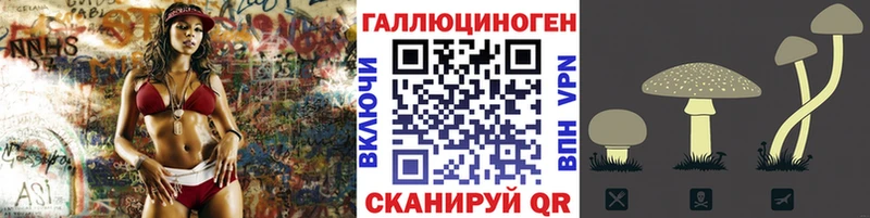 купить наркотик  Зея  Псилоцибиновые грибы Cubensis 